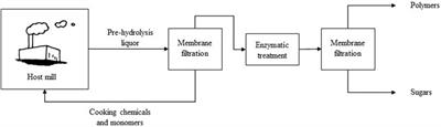 Durable Biopolymer Films From Lignin-Carbohydrate Complex Derived From a Pulp Mill Side Stream